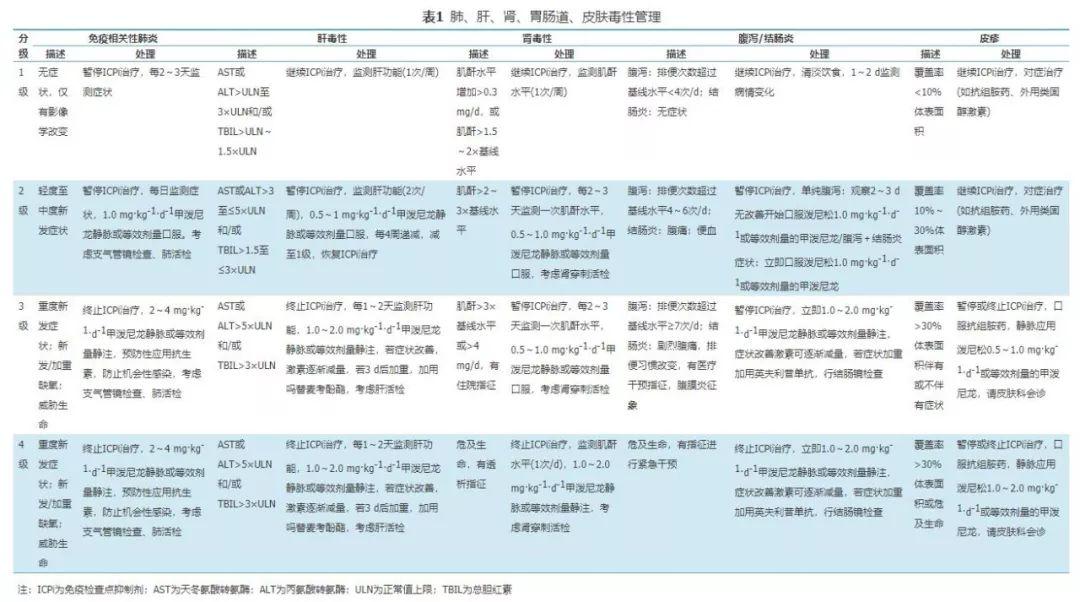 最新肺炎致死，全球的挑战与应对策略