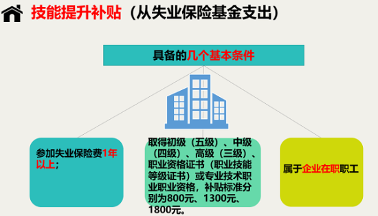 最新失业补助政策解析