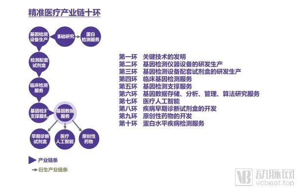 罗马最新疫情，挑战与应对策略