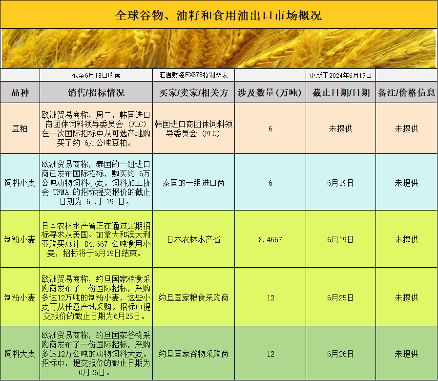 最新粮食期货市场动态及其影响