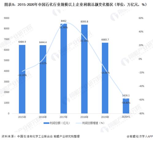 最新专家疫情分析，全球视野下的应对策略与前景展望