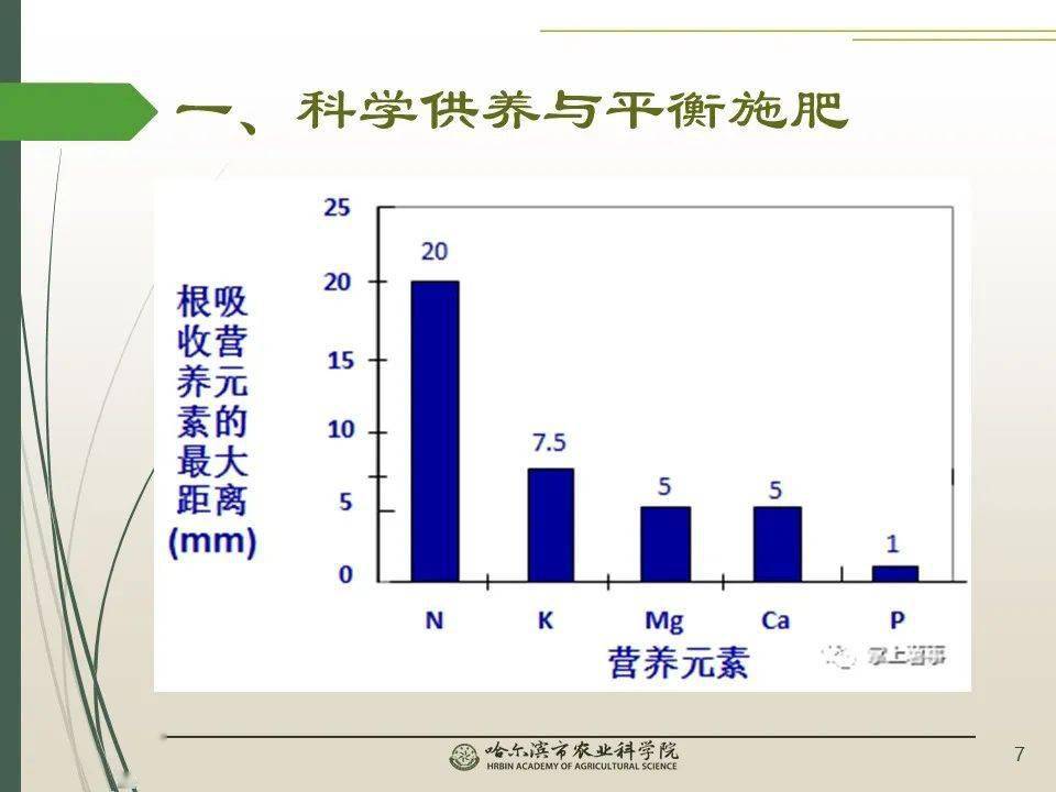 镇江最新公告，引领城市发展的步伐与决策动向