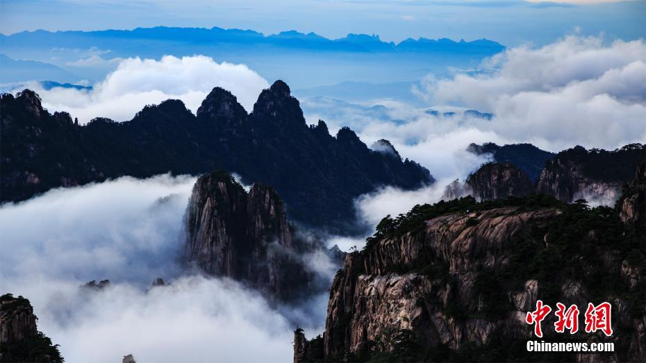 黄山最新云海，自然之美的巅峰呈现